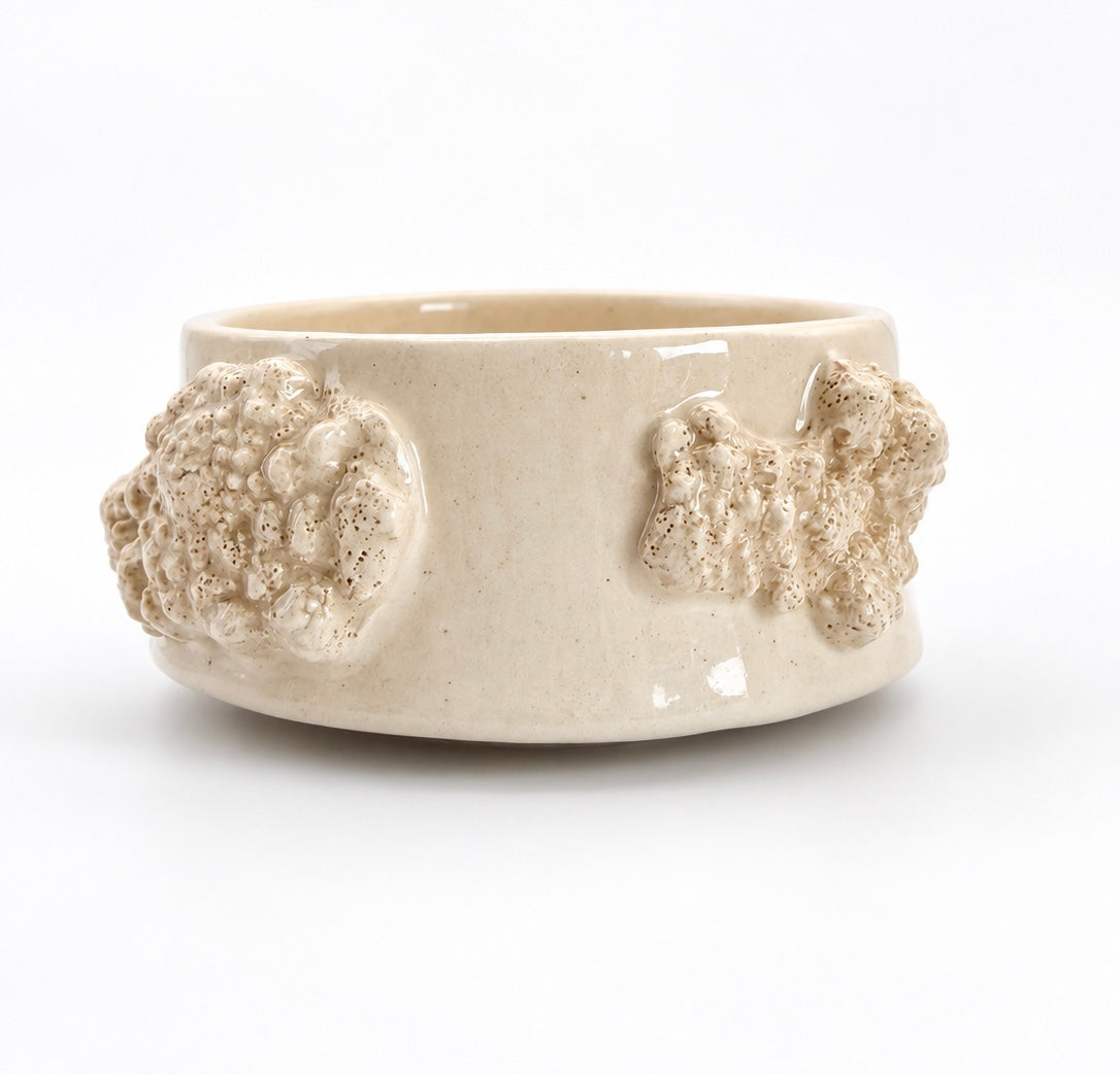 Cuenco Coral
