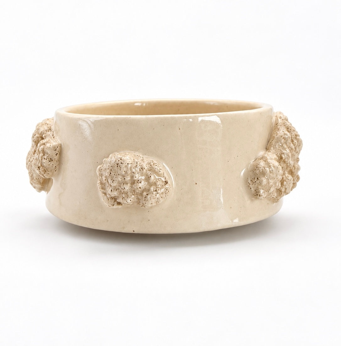 Cuenco Coral