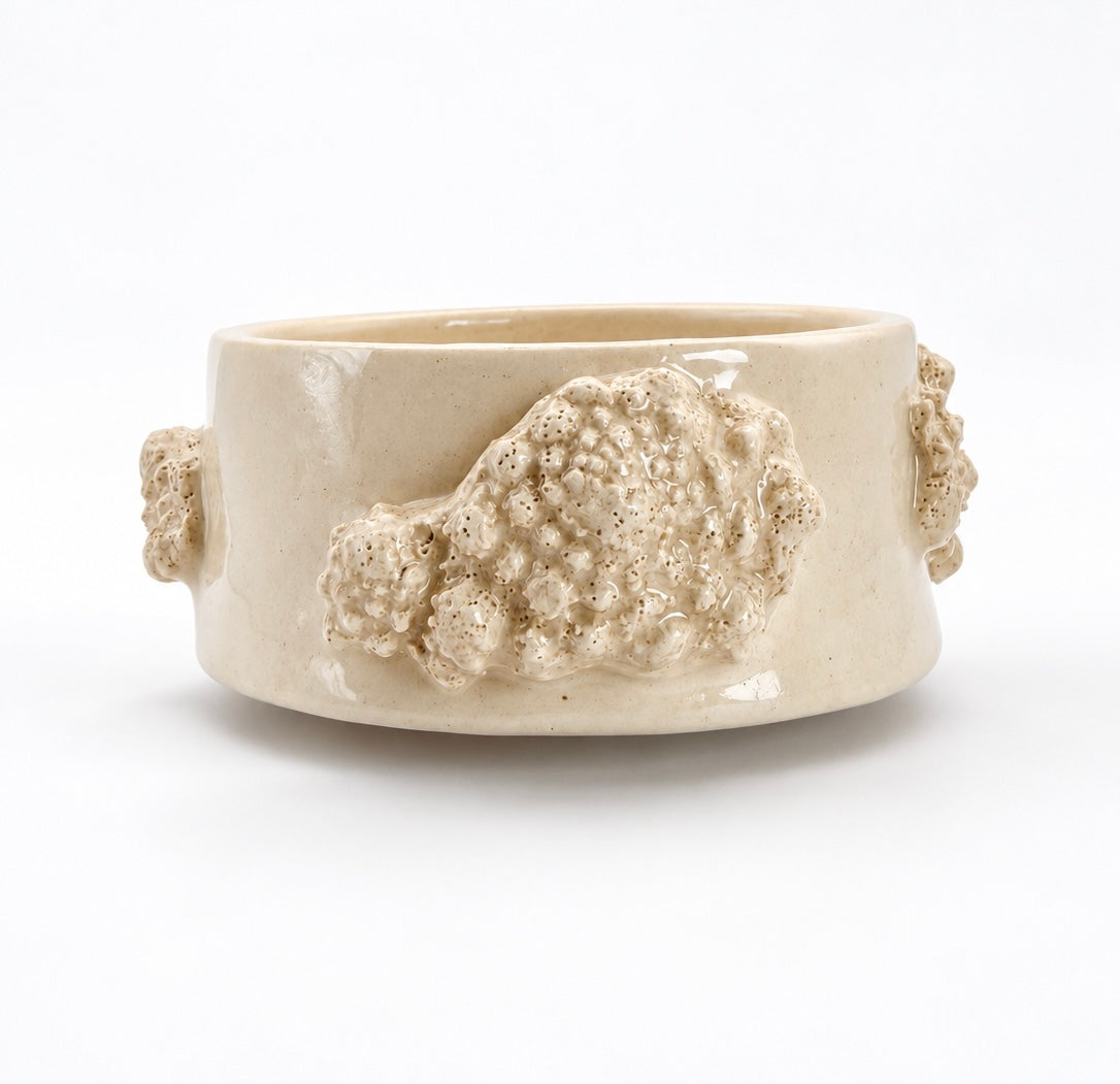 Cuenco Coral