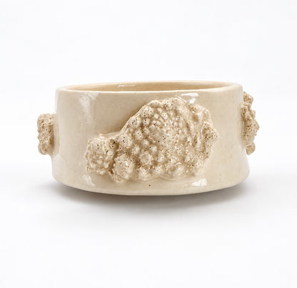 Cuenco Coral