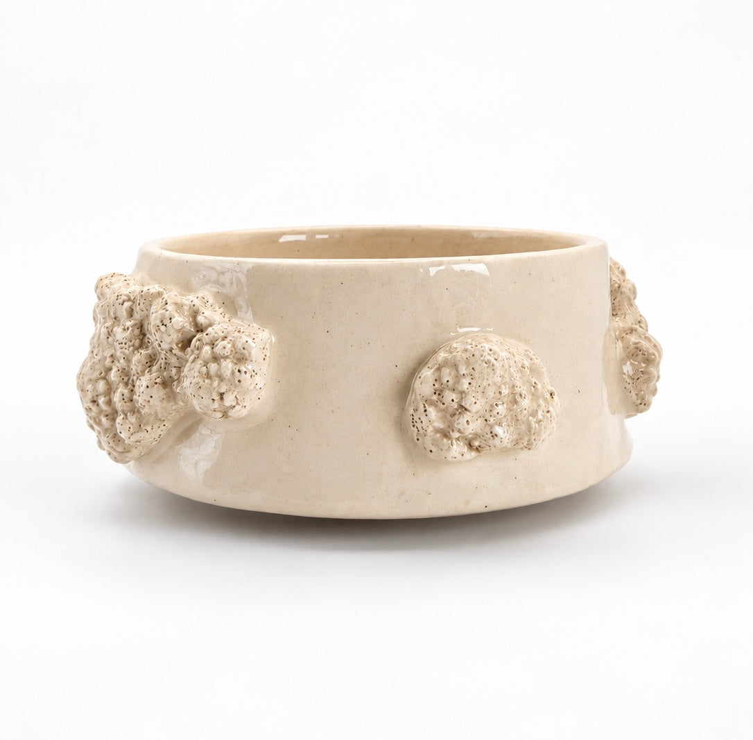 Cuenco Coral