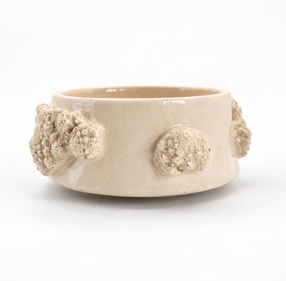 Cuenco Coral