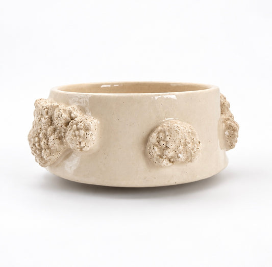 Cuenco Coral