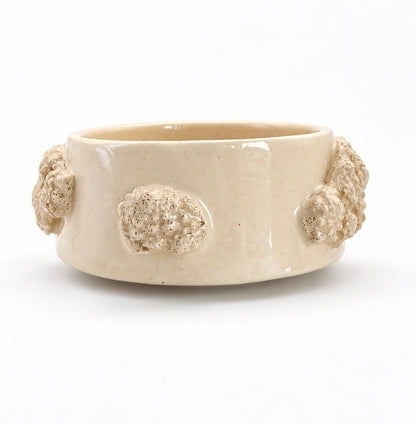 Cuenco Coral