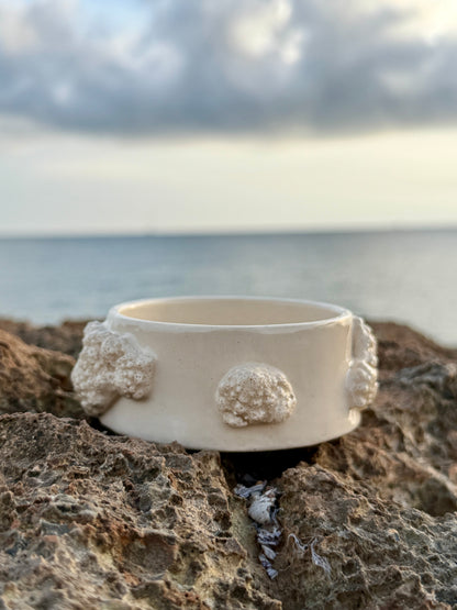 Cuenco Coral