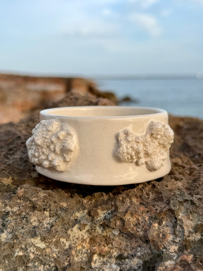 Cuenco Coral